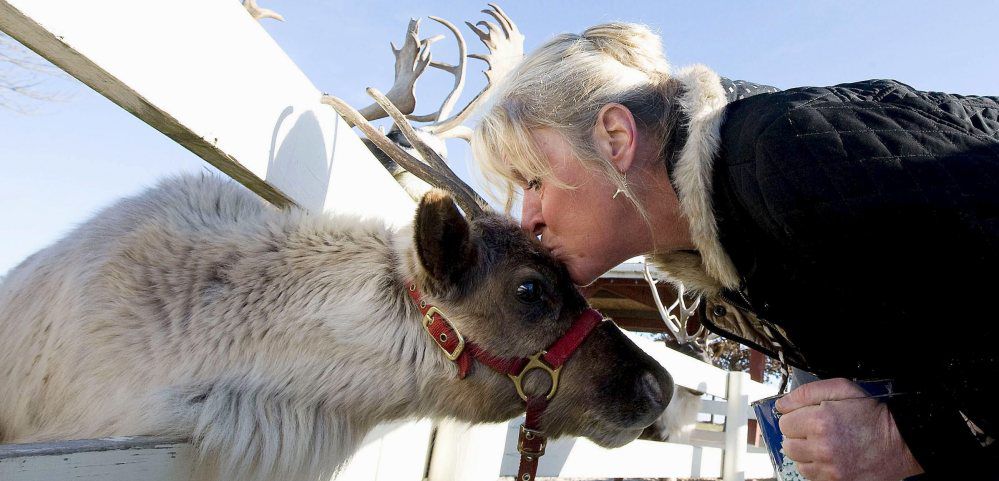 TOTM Hardy's Reindeer